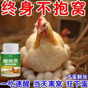 鸡醒抱药专治母鸡抱窝卧不起公鸡常年抱窝的药鸡鸭鹅下蛋催蛋专用