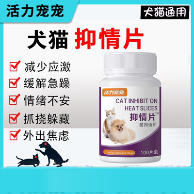 猫咪发情期母猫抑情片宠