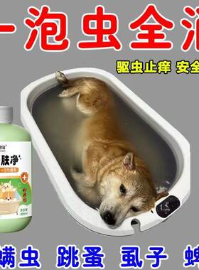 猫狗驱虫药浴除虱灭蚤用