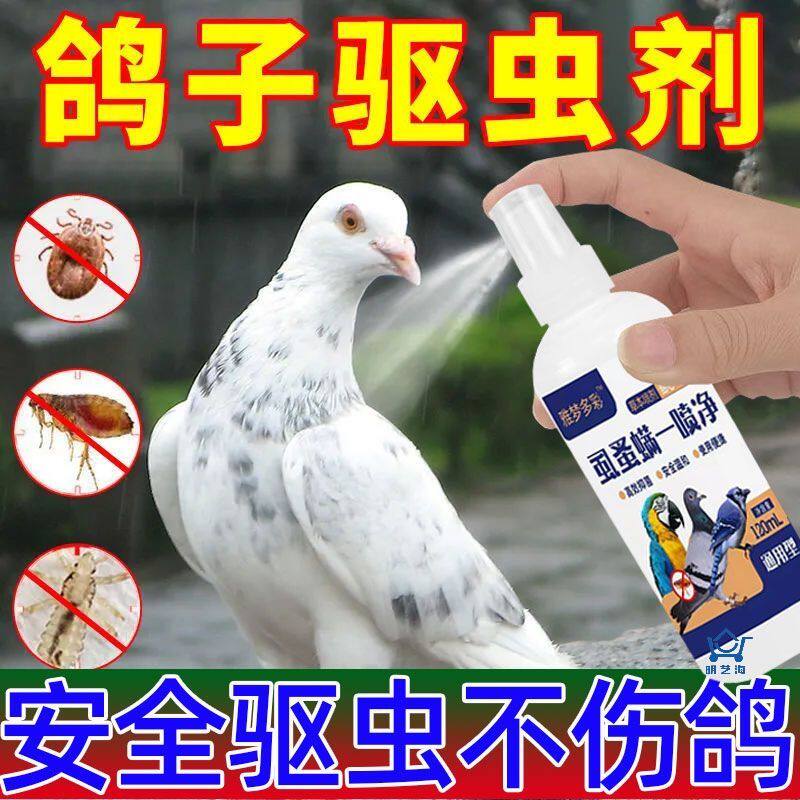鸽子体外驱虫药一喷清鸟
