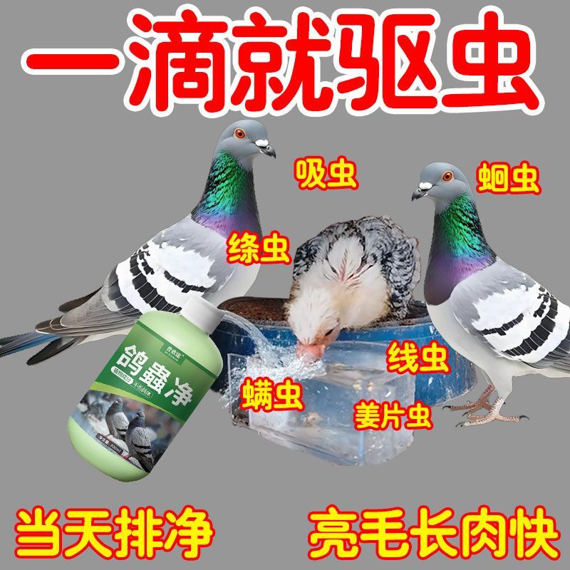 鸽虫清鸽子体内外一体驱
