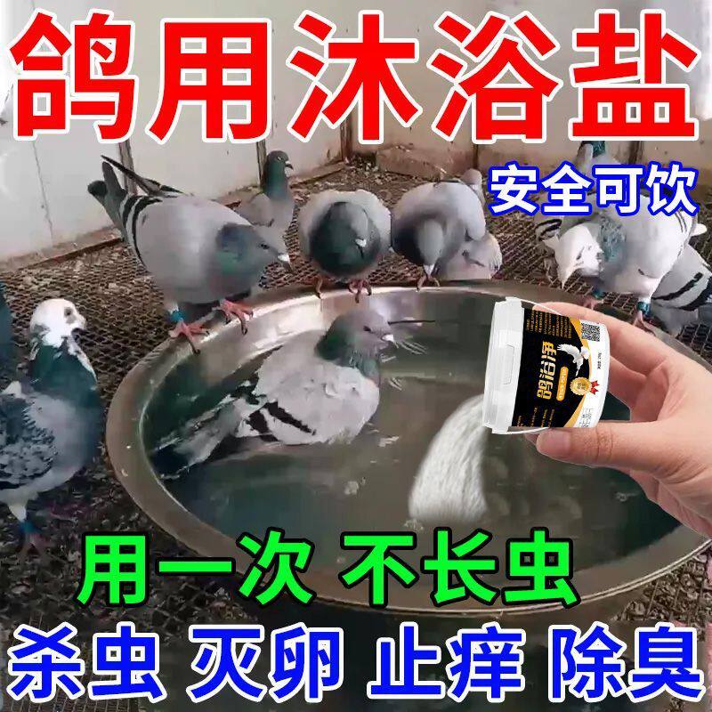 鸽浴净鸽子体外驱虫杀菌除螨止痒赛信鸽鸟类驱羽虱螨虫洗澡浴粉