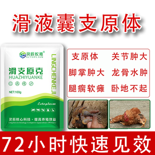滑液囊支原体鸡鸭鹅关节肿大积液脚掌变大瘫痪跛行滑支康龙骨水肿