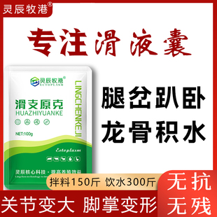 滑液囊支原体鸡鸭鹅关节变大积液脚掌变大趴卧跛行滑支康龙骨积水