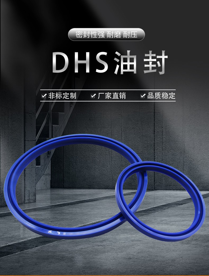 防尘密封圈DHS70x80x6/8液压油封