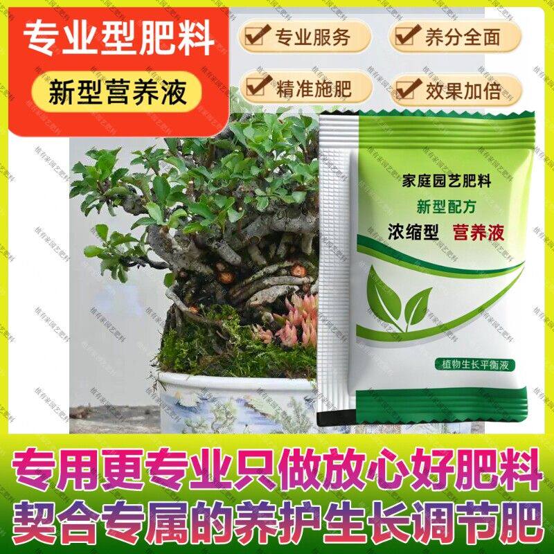 日本水肥长寿梅专用肥料养护营养液老桩附石组合专用肥料养护营养