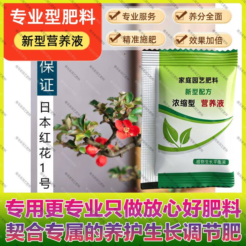 日本红花1号长寿梅观叶观花观果小盆栽茶桌老桩海棠专用肥料养护