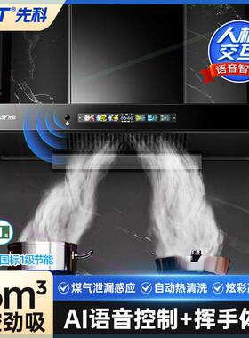 SAST/欧式T型抽油烟机家用厨房顶吸式吸油烟机壁挂式抽烟机