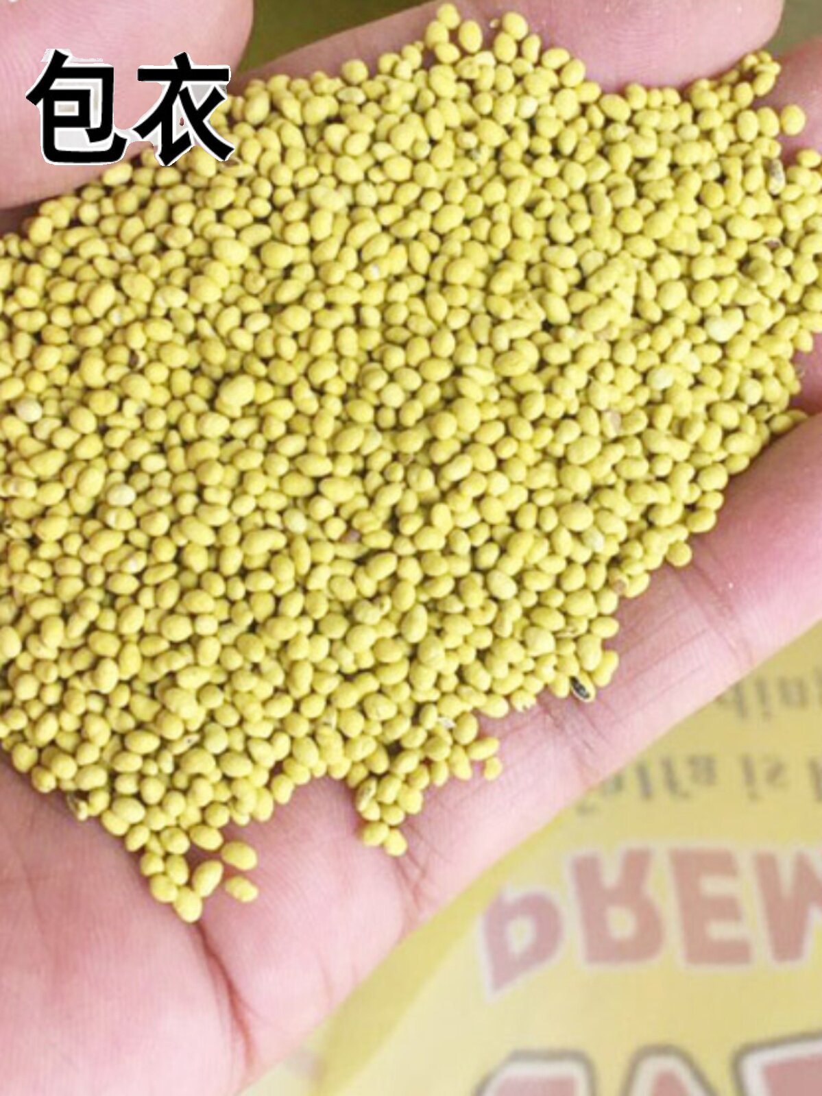 紫云英种子红花草籽食用野菜养蜂蜜源绿肥牧草高产种籽