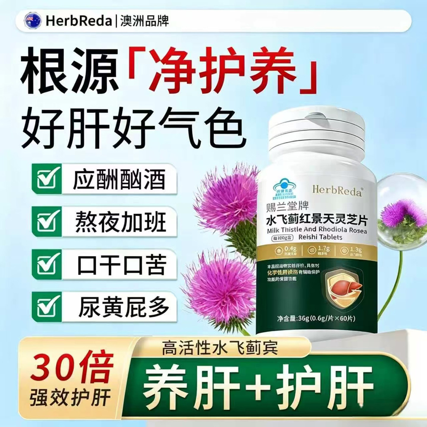 赐兰堂牌水飞蓟红景天灵芝片官方正品中老年辅助养肝护肝保健食品