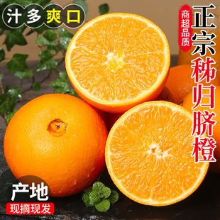 正宗秭归脐橙包邮新鲜时令应季水果整箱赣爱南媛甜冰糖果冻橙子