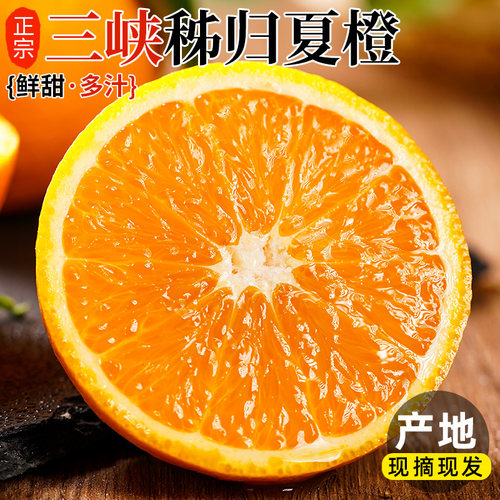 秭归夏橙原产地直发纯甜多汁