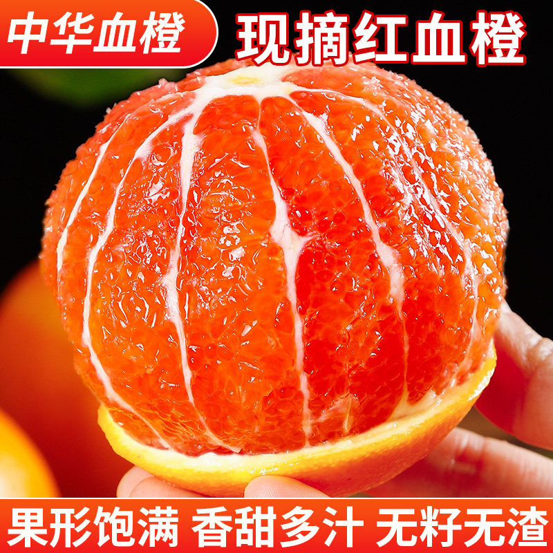 果园直发【橙中贵族】中华红血橙