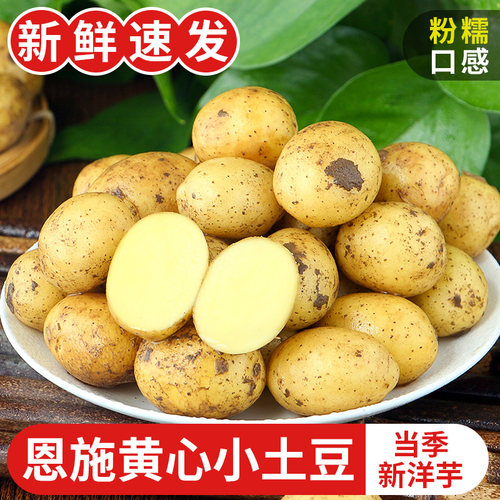 新鲜恩施小土豆【整箱】