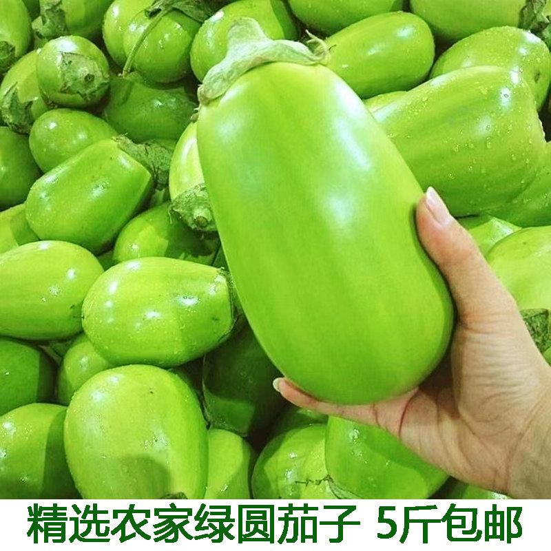 新鲜大绿茄子湖北特产蔬菜农家