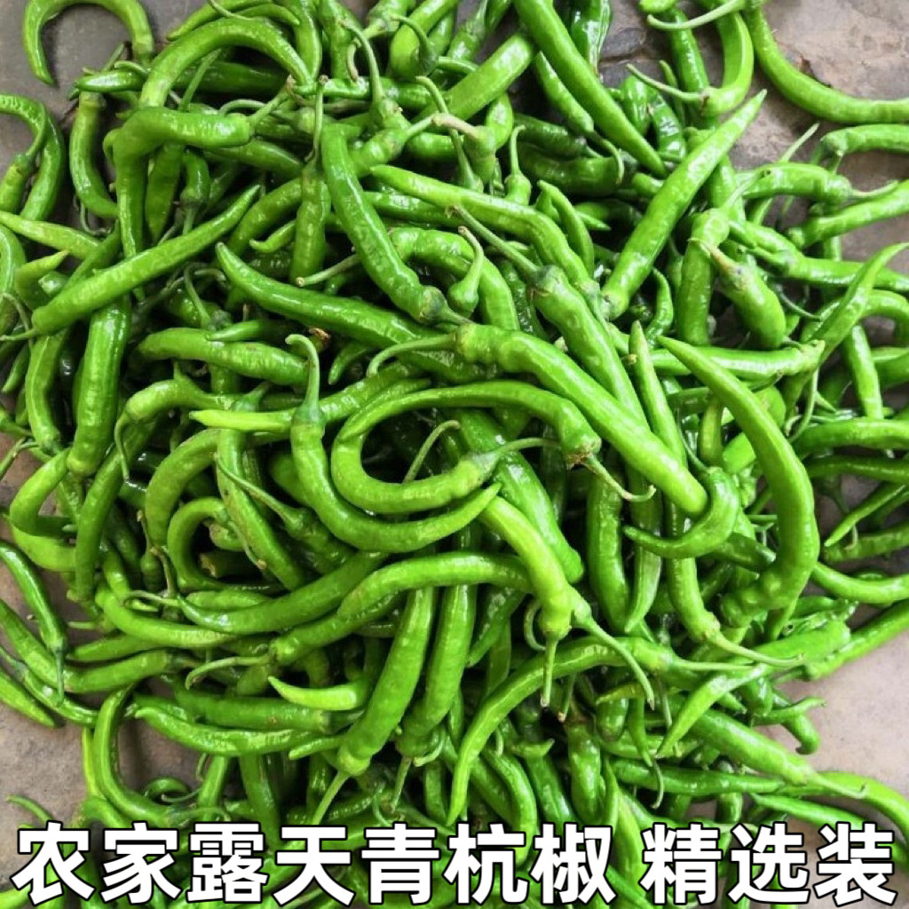 湖北农家现摘新鲜青杭椒薄皮 本地土辣椒青杭椒微辣虎皮辣椒包邮