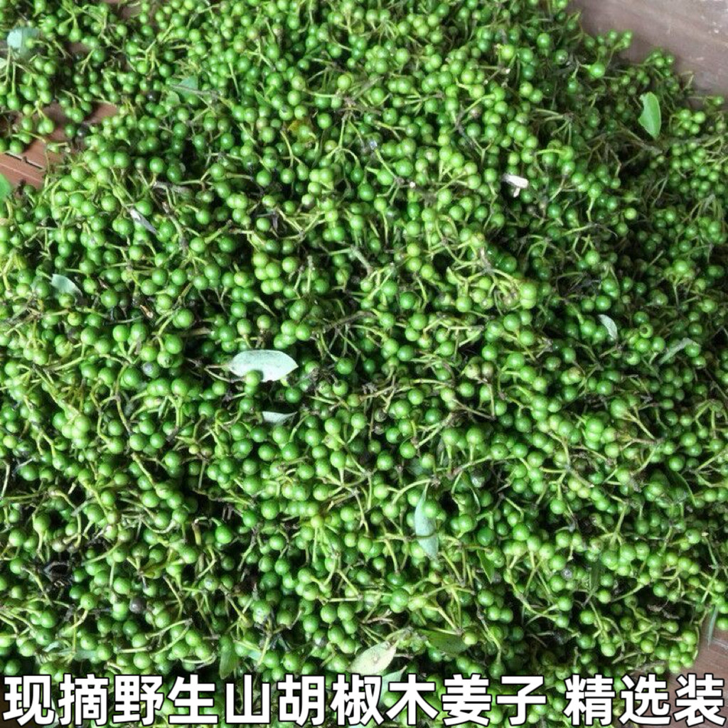 野生山胡椒新鲜木姜子现摘