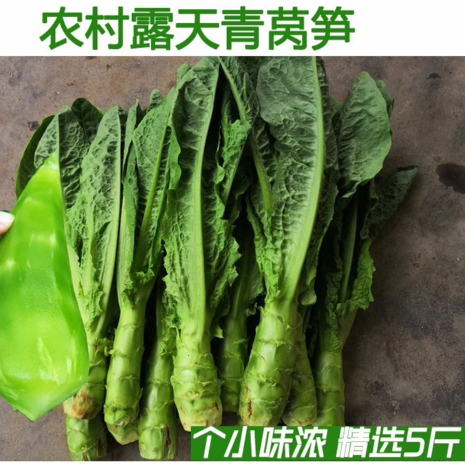 湖北新鲜莴笋带箱应季农家自种蔬菜青笋莴苣时令5斤包邮