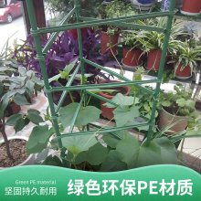 西红柿番茄架茄子爬藤架园艺花卉绿植支撑杆阳台地面固定支撑杆子