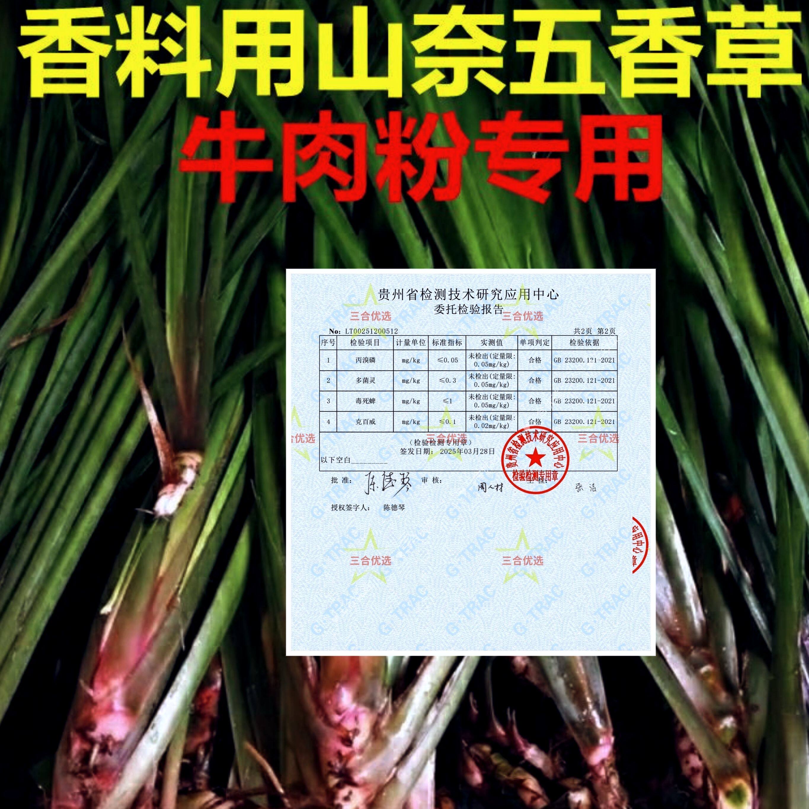 贵州新鲜山奈三萘五香草茴香菖蒲随手香鸡香草山柰菖蒲