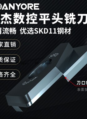 戴杰平头铣刀镜面圆角端铣刀RNM160锁牙式刀杆两刃铣刀可互换刀片