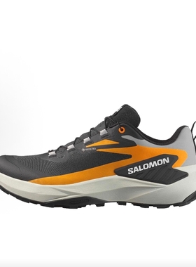 SALOMON萨洛蒙 GENESIS GORE-TEX 轻快舒适越野跑步鞋 男款479762