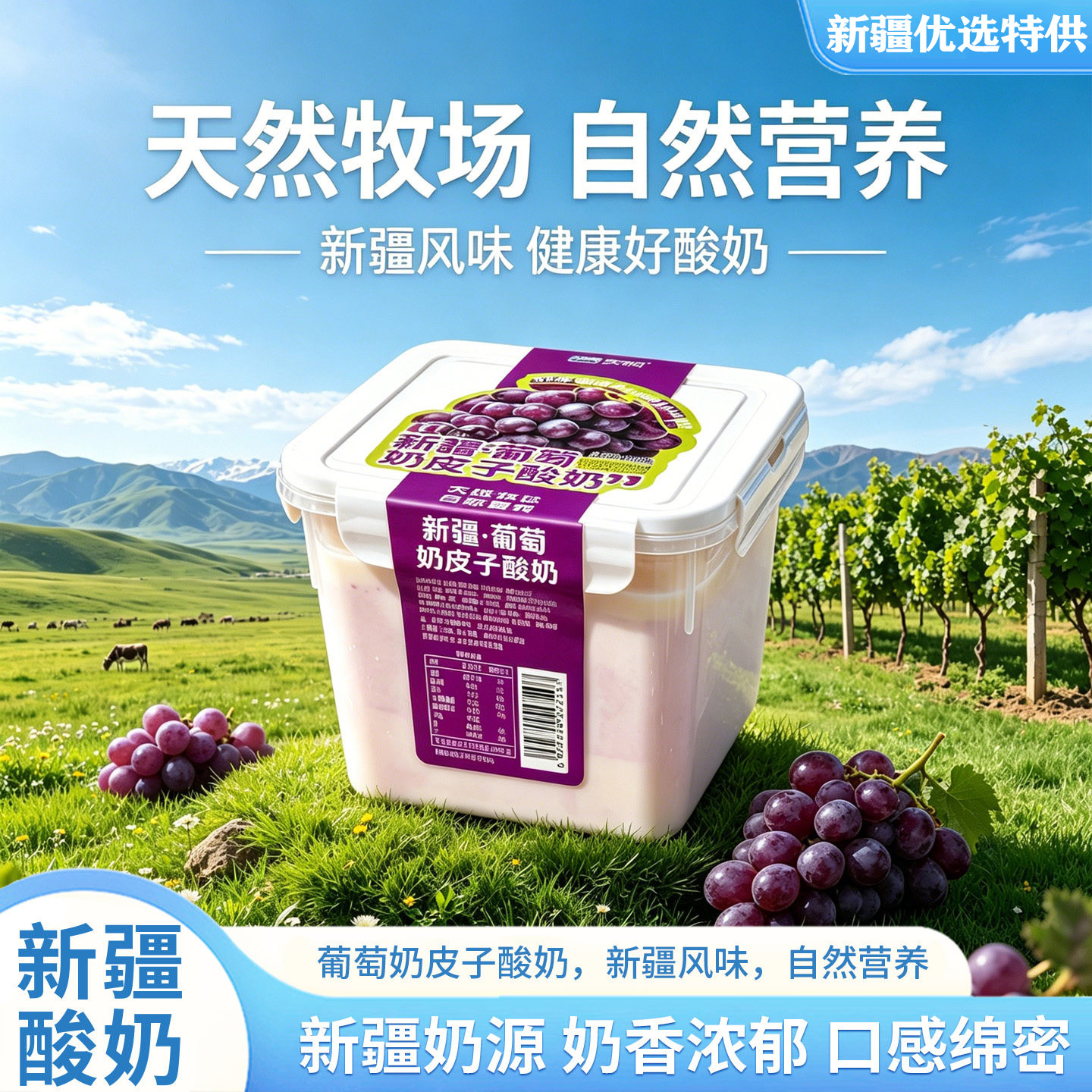 天润奶皮子酸奶新疆葡萄口味盒装800g天然牧场自然营养奶香浓郁