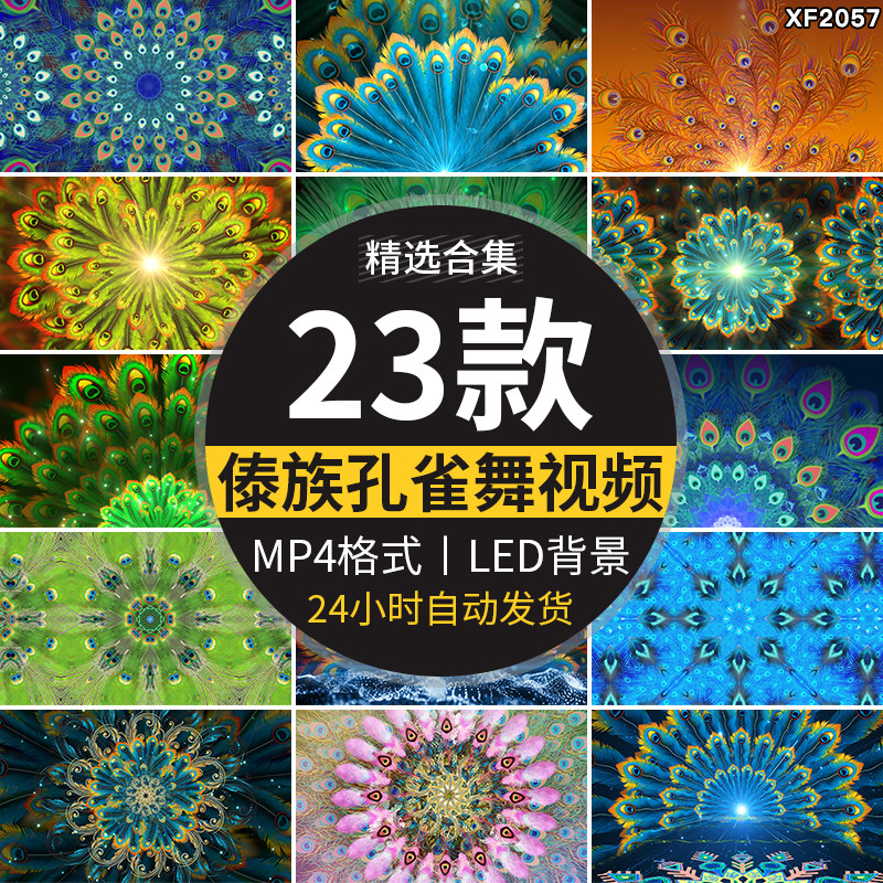 孔雀舞蹈少数民族风羽毛开屏云南傣族表演出舞台LED背景视频素材