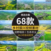 美丽乡村振兴绿水青山生态农业风光田野新农村庄风景航拍视频素材