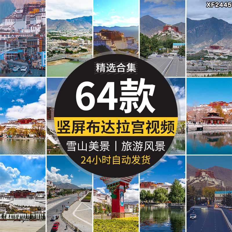 竖屏西藏拉萨布达拉宫旅游景点风景人文青藏高原藏族雪山视频素材
