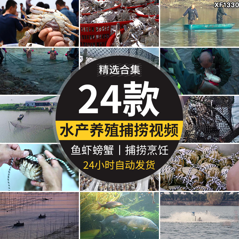 水产螃蟹大闸蟹养殖鱼塘网捕捞抓鱼草鱼养鱼河塘龙虾海鲜视频素材