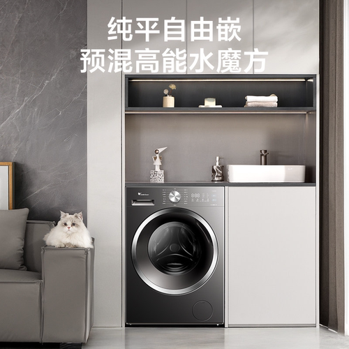 Littleswan/小天鹅 TD10V628T滚筒洗衣机洗烘一体全自动家用10KG