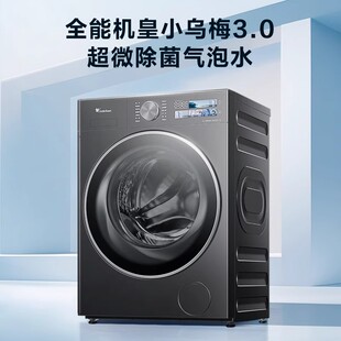 Littleswan/小天鹅 TG10DE40全自动滚筒洗衣机小乌梅3.0家用10KG