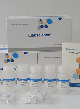 Elabscience 谷胱甘肽还原酶(GR)比色法测试盒 铁死亡检测试剂盒
