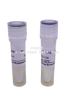 BOLAZ T4 DNA Ligase 适用标记RNA3'-末端/环化RNA和DNA/克隆cDNA