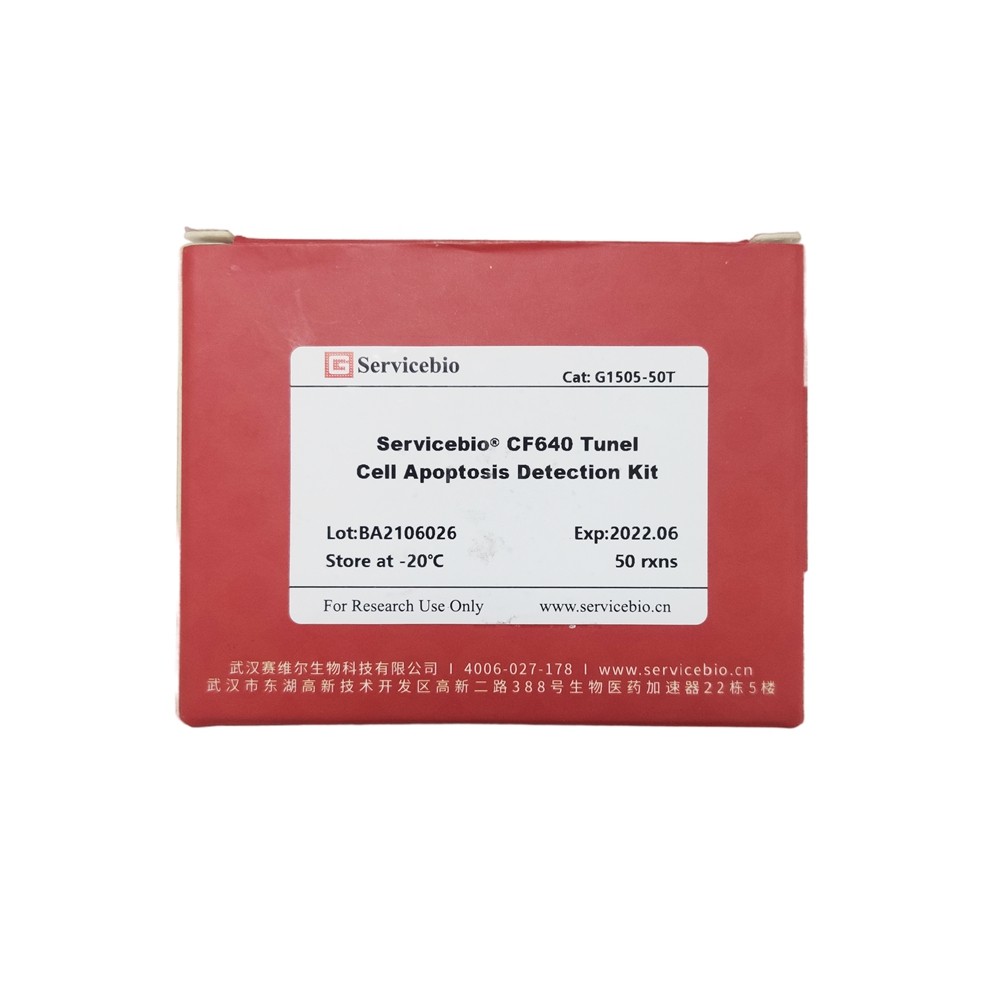 servicebio 一步法tunel细胞凋亡检测试剂盒(cf640粉色荧光)g1505