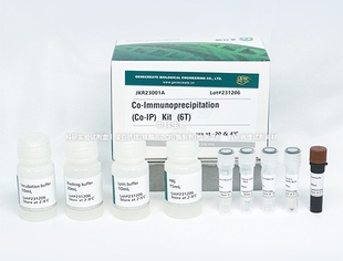 用于研究蛋白质与蛋白质之间相互作用Co 动物 Kit IP试剂盒