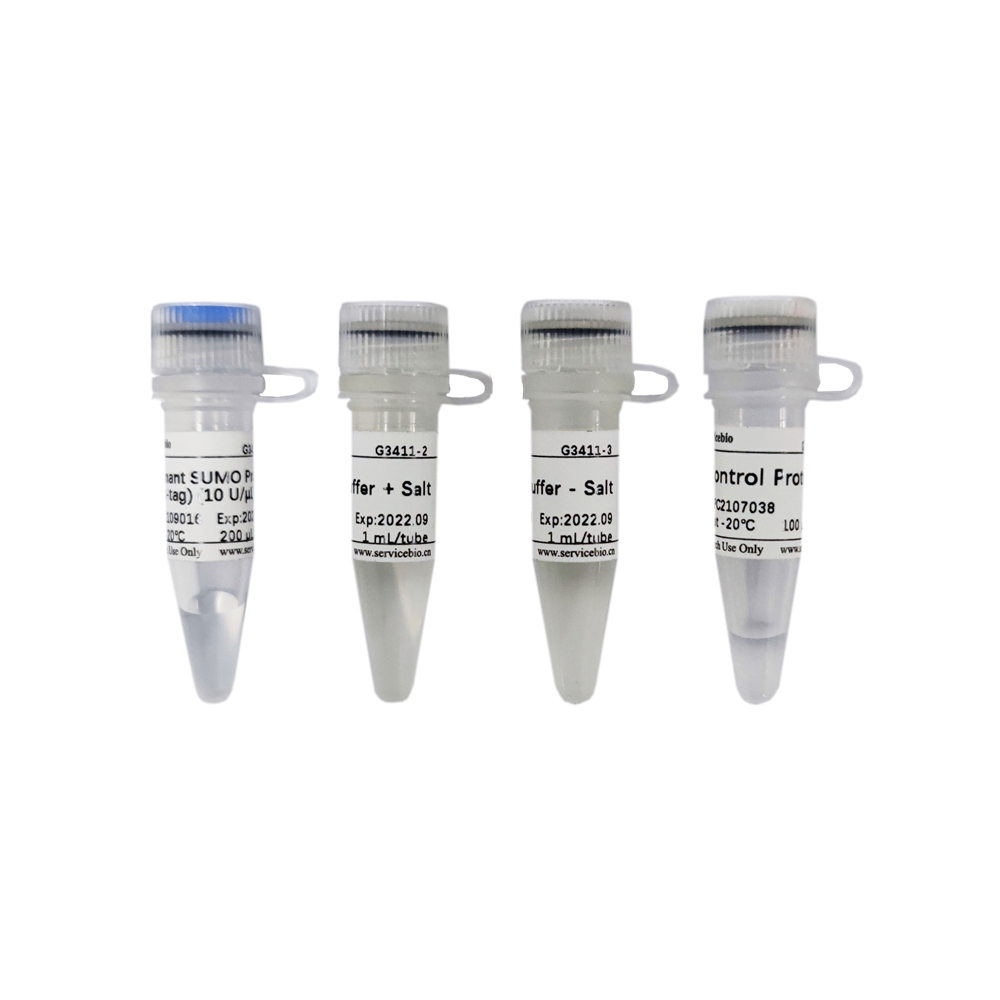 Servicebio重组SUMO蛋白酶（His-tag）半胱氨酸蛋白酶G3411-2000U