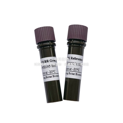 BOLAZ 2×SYBR Green qPCR预混液(含100×ROX)用于嵌合荧光法qPCR