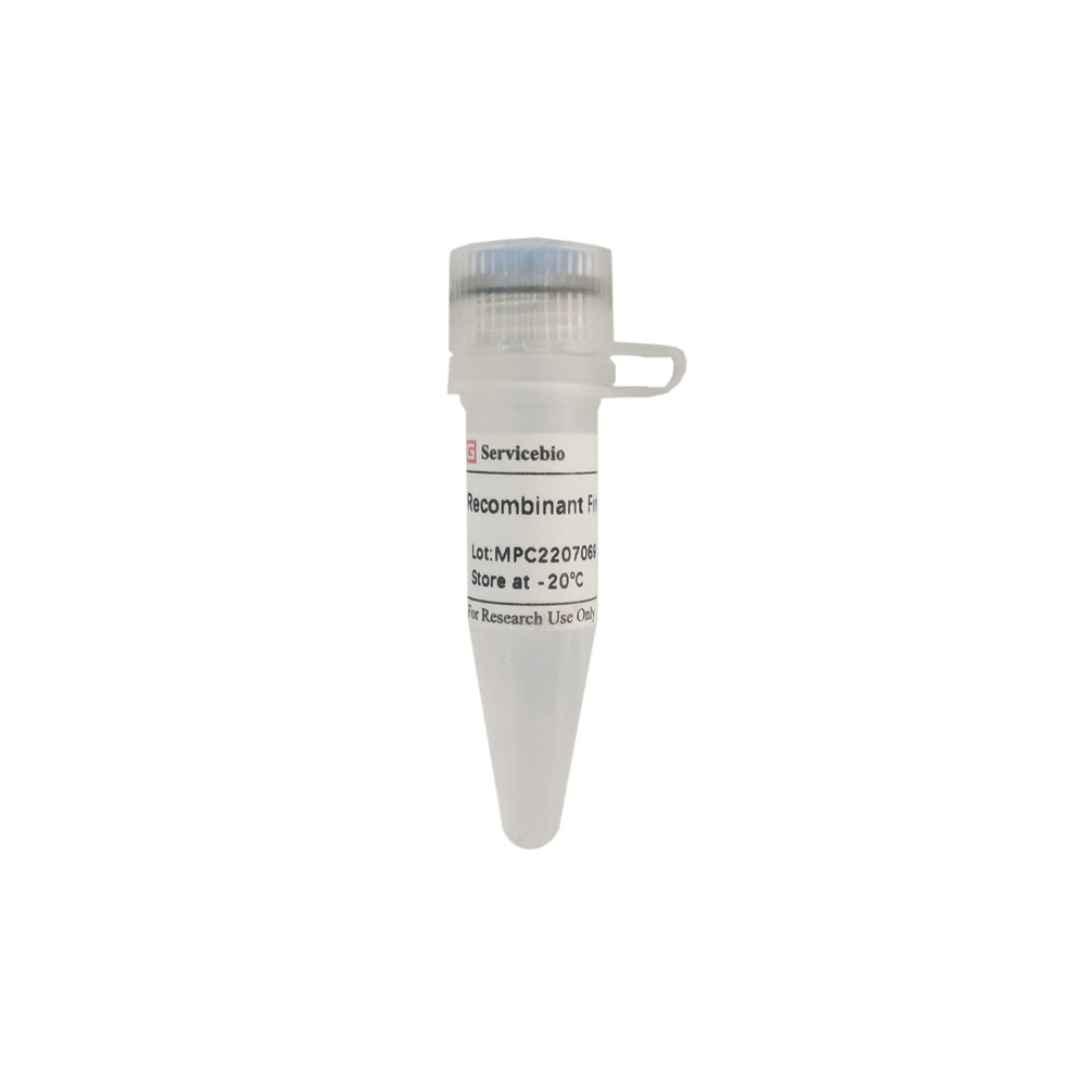 Servicebio重组海肾荧光素酶Recombinant Renilla luciferase,1mL
