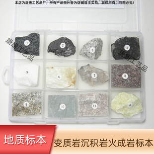 沉积岩火成岩标本套装12种变质岩不同典型三大类岩石教学收藏石头