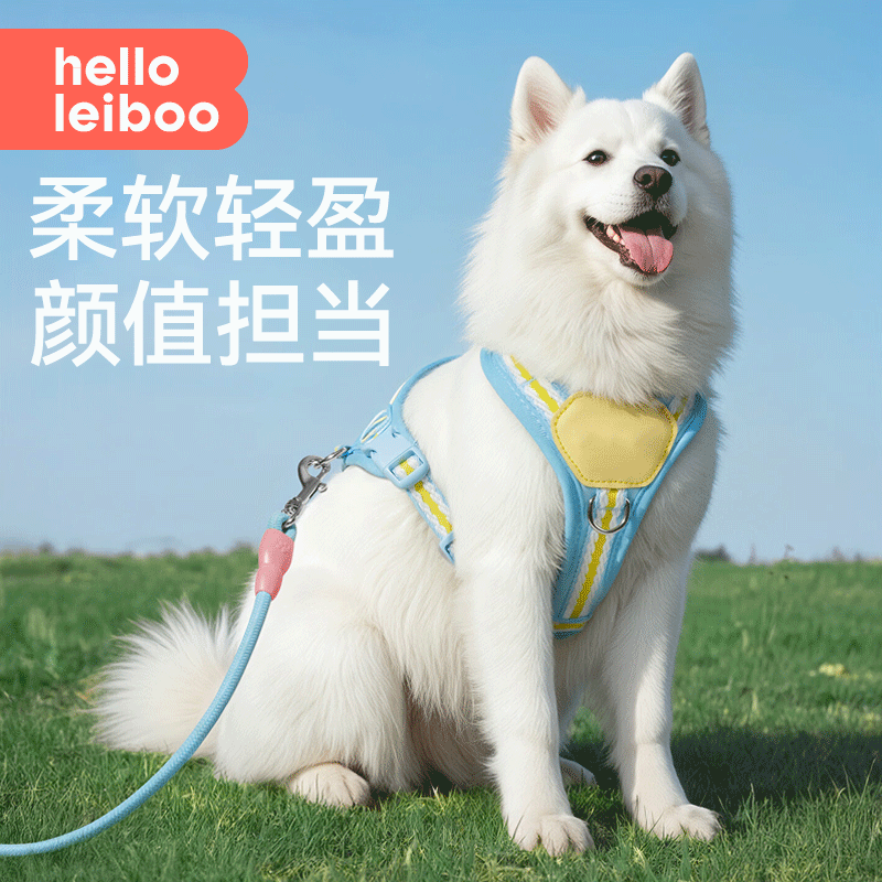 狗牵引绳胸背遛狗绳中大型犬宠物狗背带自动伸缩边牧金毛外出专用