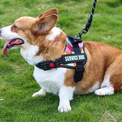 狗狗牵引绳背心式胸背带中大型犬柯基边牧金毛拉布拉多遛狗绳链子