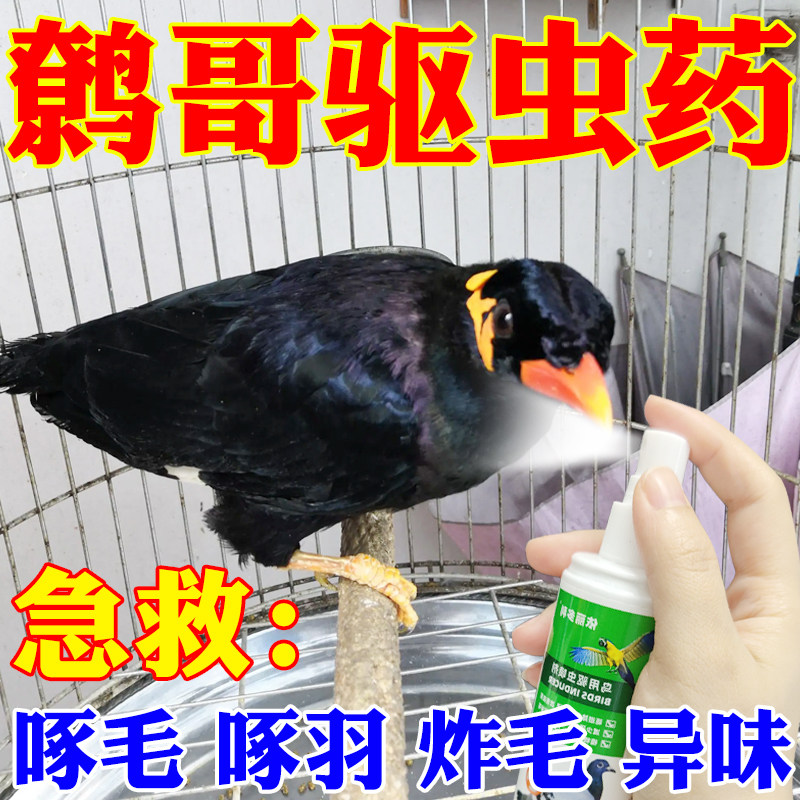 鹩哥鹦鹉驱虫喷雾虎皮鹦鹉除螨驱虫掉毛药除虱子玄凤虱螨一喷净