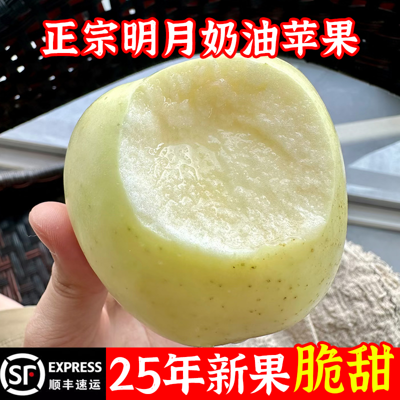 正宗明月奶油苹果新鲜水果当季整箱山东孕妇水蜜桃苹果脆甜生鲜