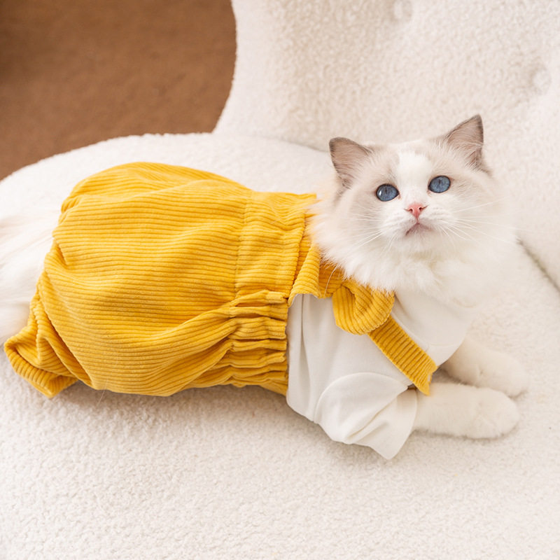 秋冬季猫衣服可爱小熊灯芯绒四脚猫宠物服装/雨衣（新