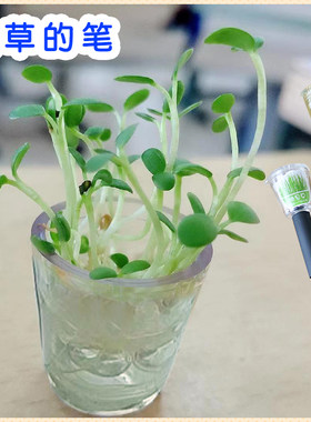 可以长草的笔创意植物种子中性笔