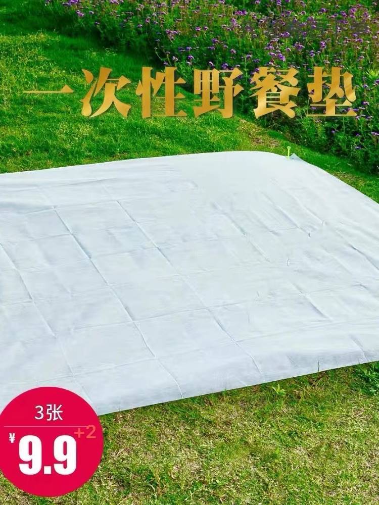 春游郊游一次性户外野餐垫防水加厚烧烤防油桌布沙滩草坪便携地垫