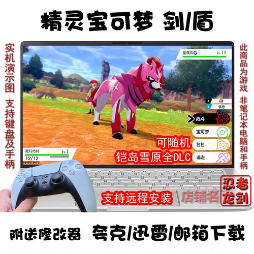 宝可梦剑盾全DLCPC可随机夸克盘