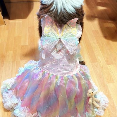 中大型狗衣服特大夏季薄款夏装裙大狗萨摩耶金毛阿拉斯加公主裙